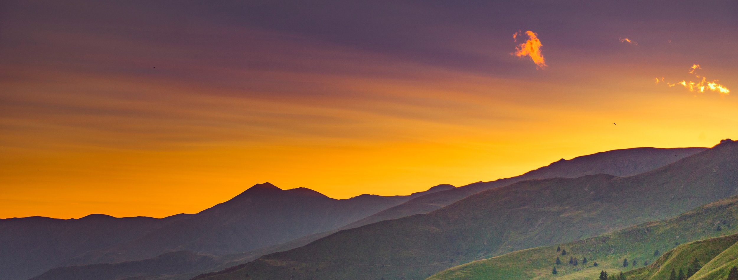 banner-cropped.jpeg