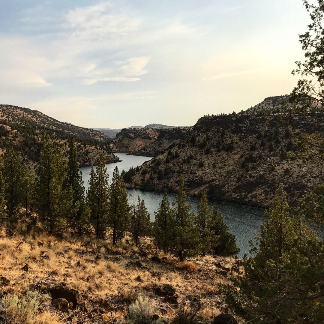 We went forward despite the warnings and ended up in the gorge walking alongside this enormous, snaking, beautiful lake.