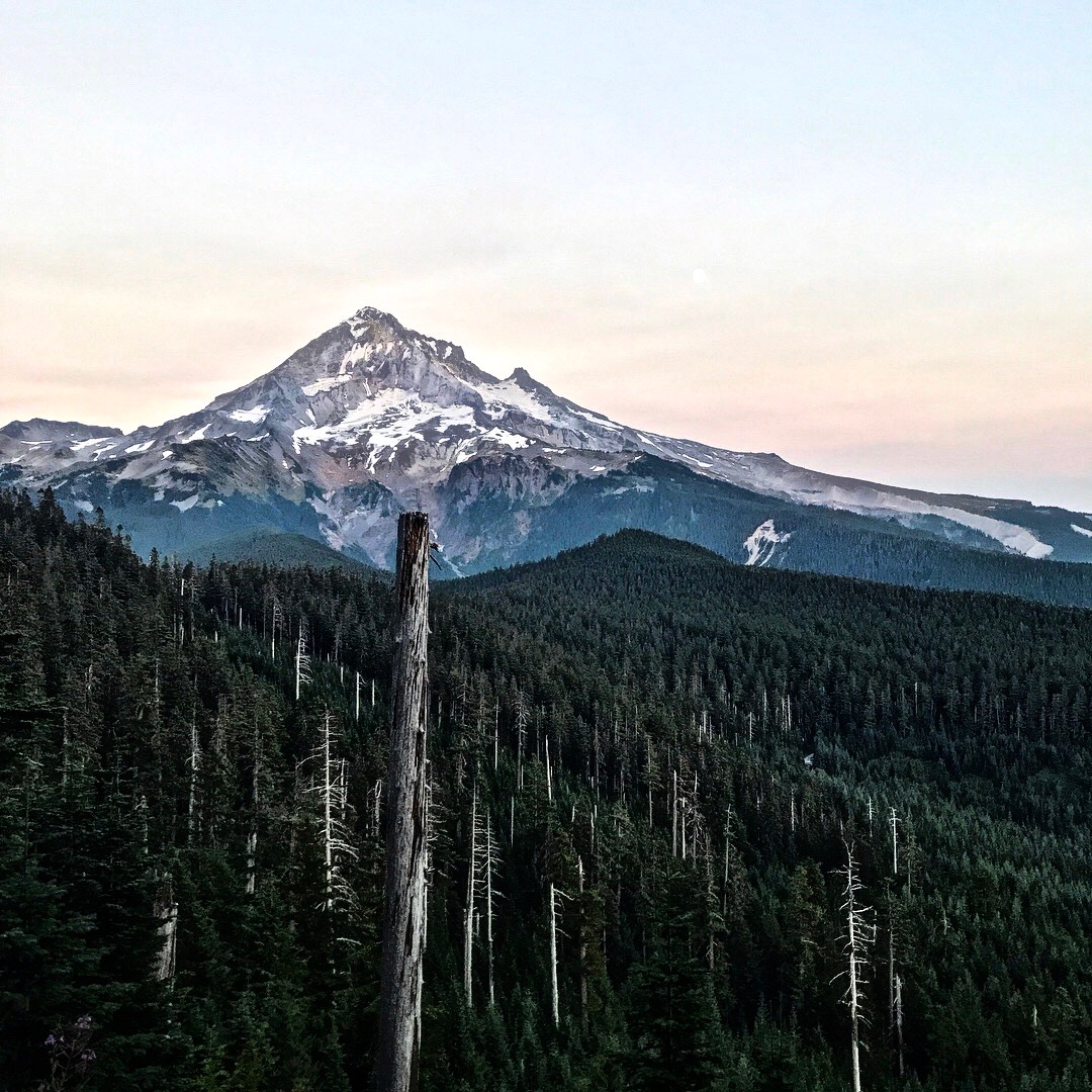 mount-hood-pct.jpeg