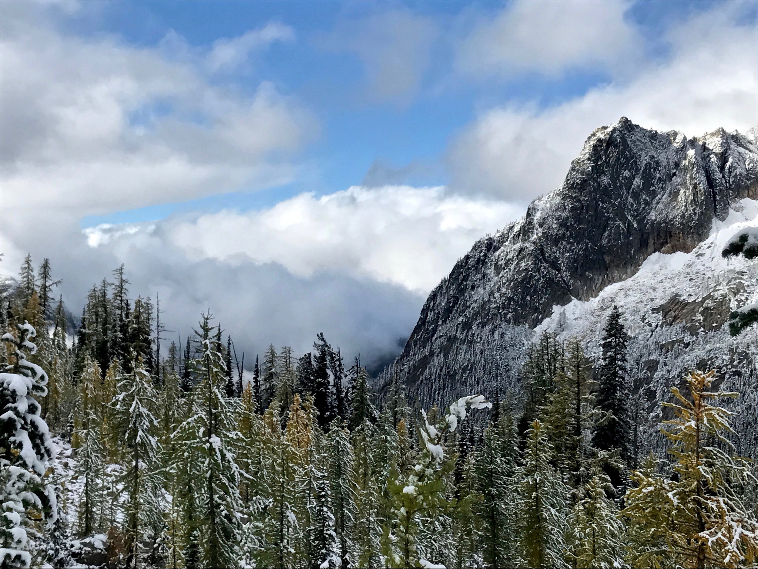 north-cascades-pacific-crest-trail.jpeg
