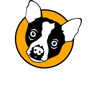 Sirius Orbit