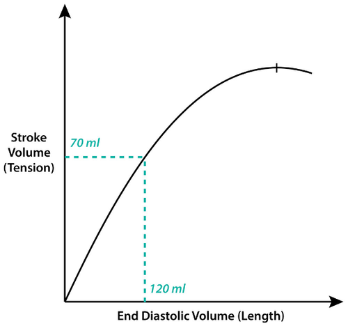 Step by step approach to Afib with RVR — Kwak Talk