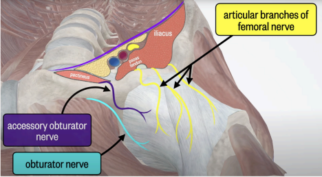 Hip Fractures in the Emergency Department 