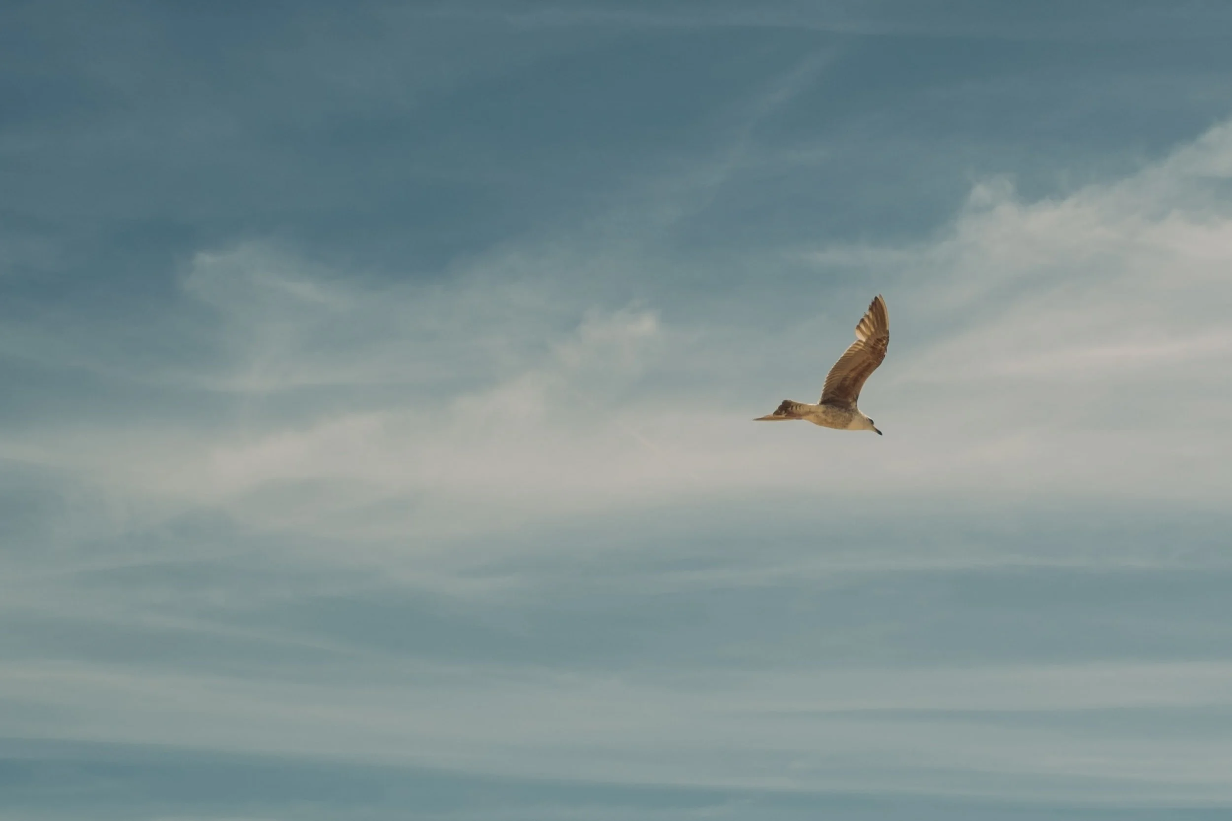 PENTECOST • 51