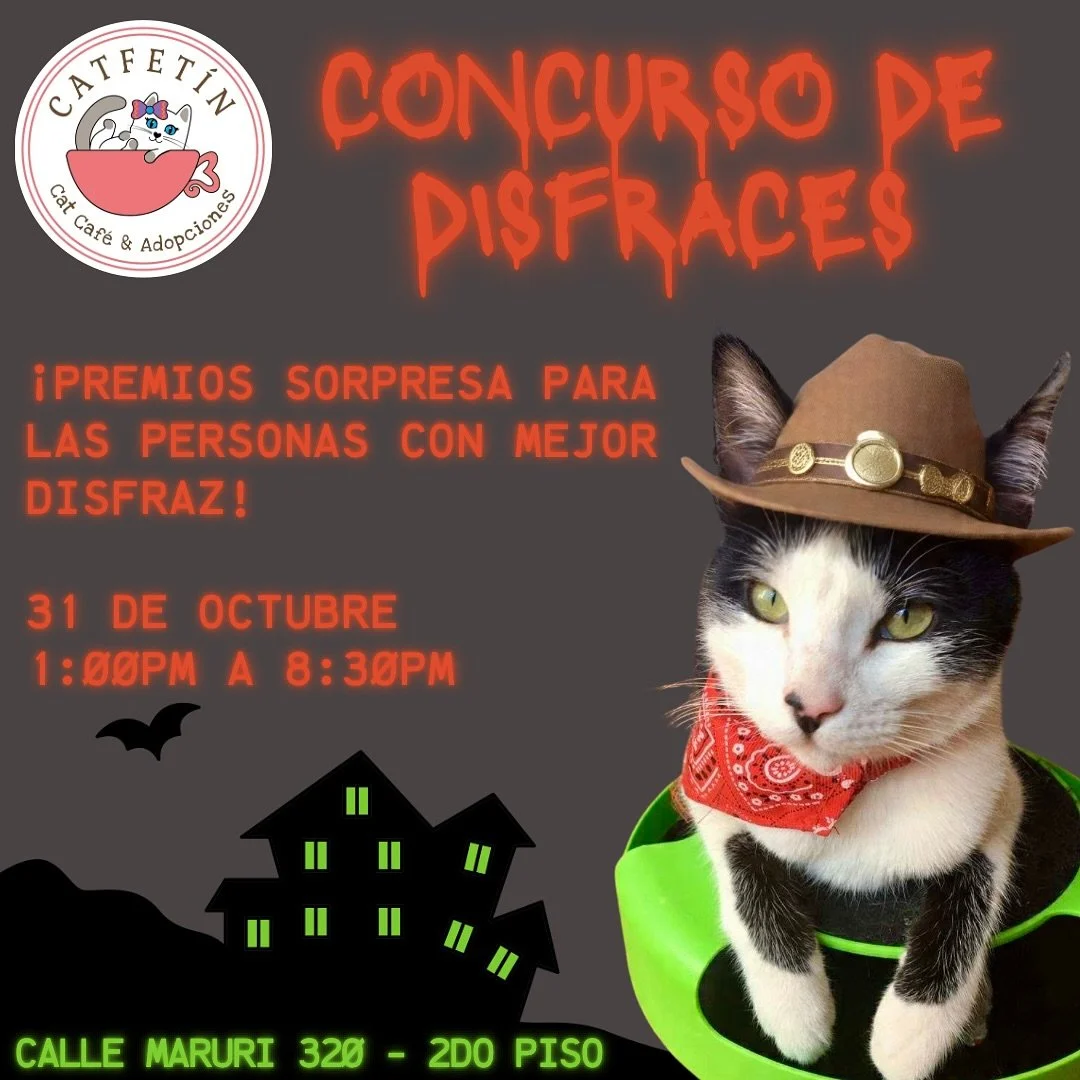🎃🐈 &iexcl;Concurso de disfraces en Catfetin Cat Cafe! 🐈🎃

31 de octubre de 1pm a 8:30pm

&iexcl;Ven con tu mejor disfraz y gana premios incre&iacute;bles!

.
.
.
#Halloween #catcafe #cafecongatosConcursoDeDisfraces #CatfetinCatCafe