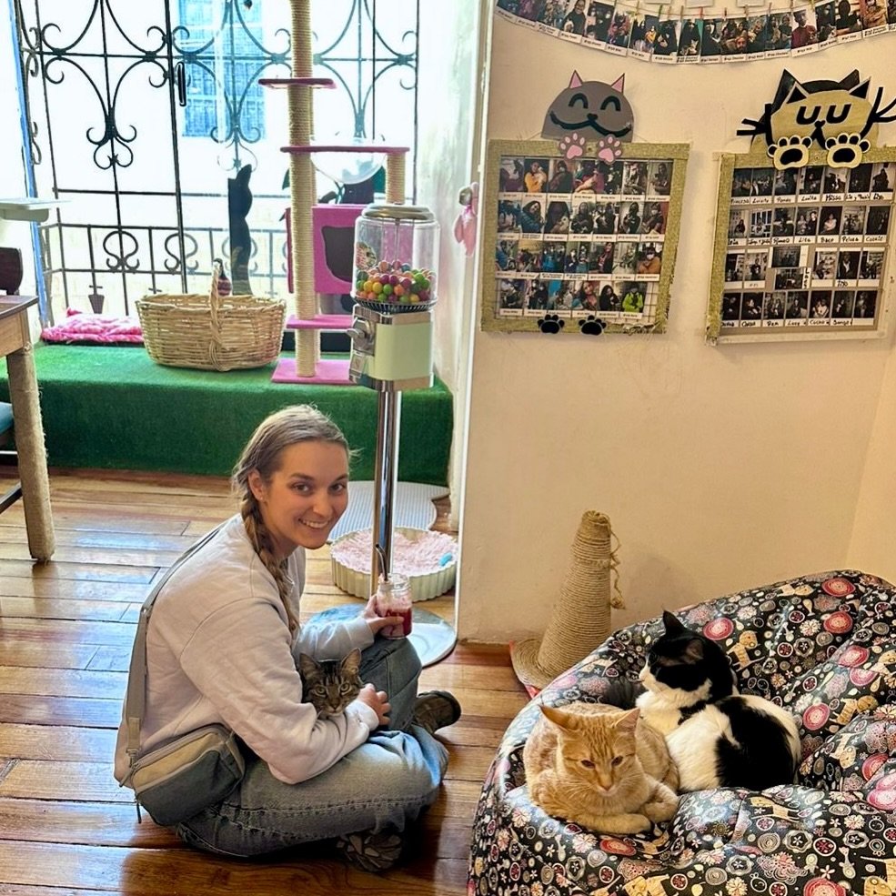 😺 &iquest;Necesitas un break de la rutina?
&iexcl;Ven a Catfetin Cat Cafe! Disfruta la compa&ntilde;&iacute;a de nuestros michis, todos en busca de un hogar para compartir el resto de sus 7 vidas 🐈🏠💖

*&iquest;Qu&eacute; te ofrece Catfetin?*
Caf&