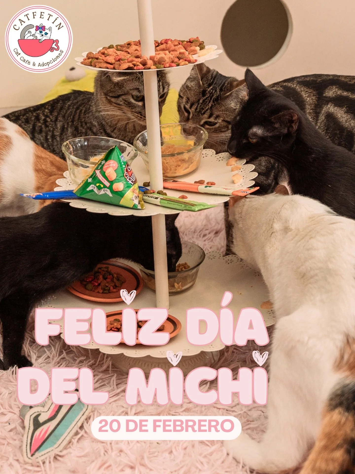 &iexcl;Feliz D&iacute;a del Gato! 🐈💕 

En Catfetin, celebramos a nuestros queridos michis y a todos los cat lovers ✨

&iexcl;Ven a pasar un d&iacute;a especial con nosotros y nuestros adorables gatitos! 😻🐾

 #D&iacute;aDelGato #Catfetin #CatCafe 