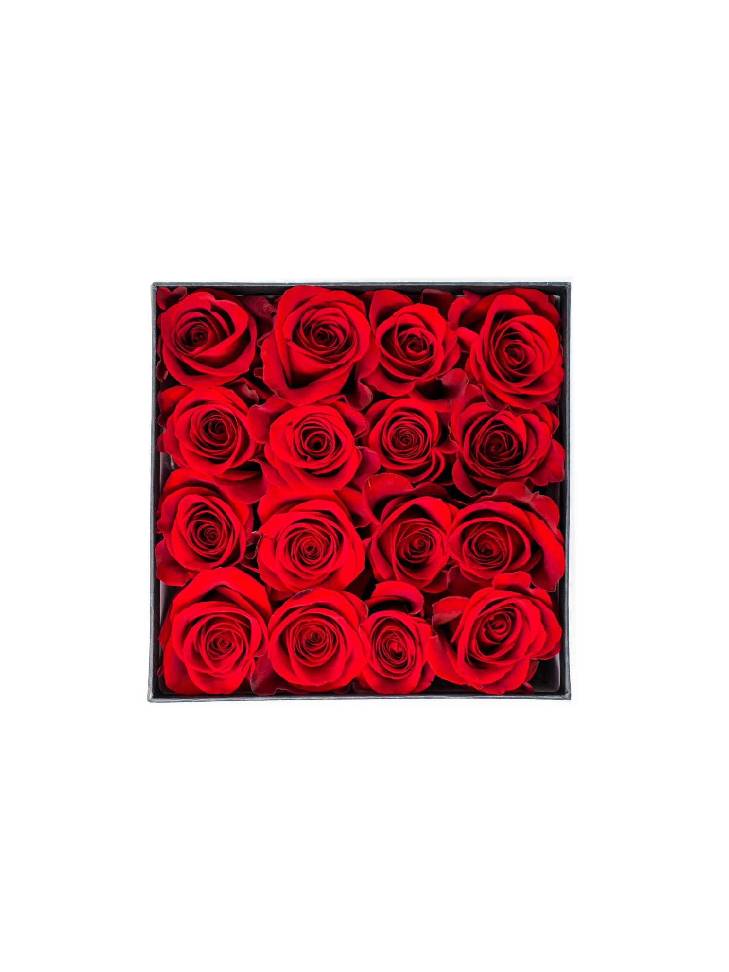 large bloom box red top-.jpg