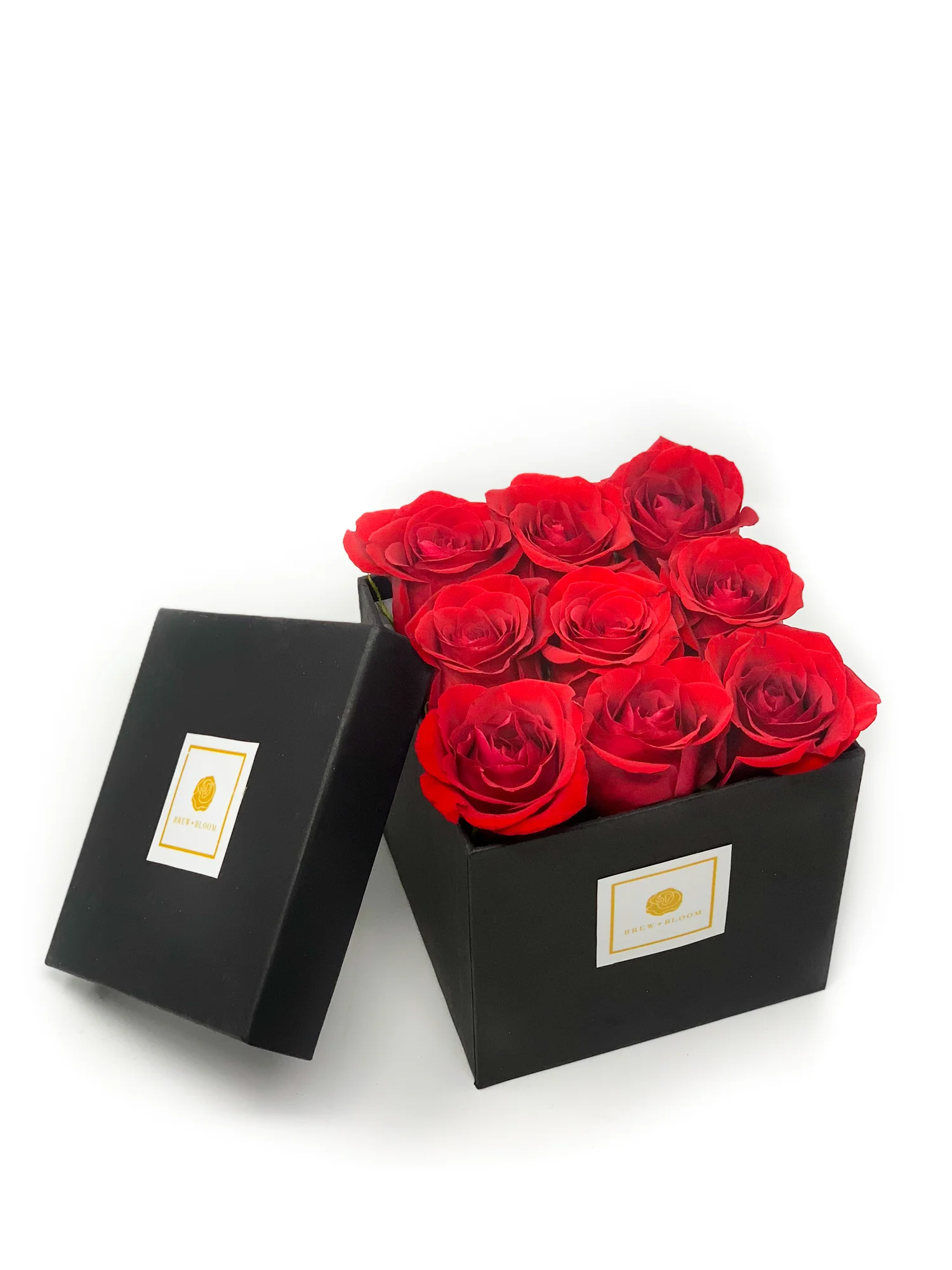 moyenbloombox-0424.jpg