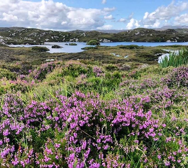 Lewis and Harris have so much to offer. Every part of the islands are different. Whatever you’re into; beaches, mountains, lochs...we’ve got you covered 👍🏻
•
•
•
•
•
#heb360 #heb360tours
#drivingtours #hebrides #westernisles #isleoflewis #isleofhar