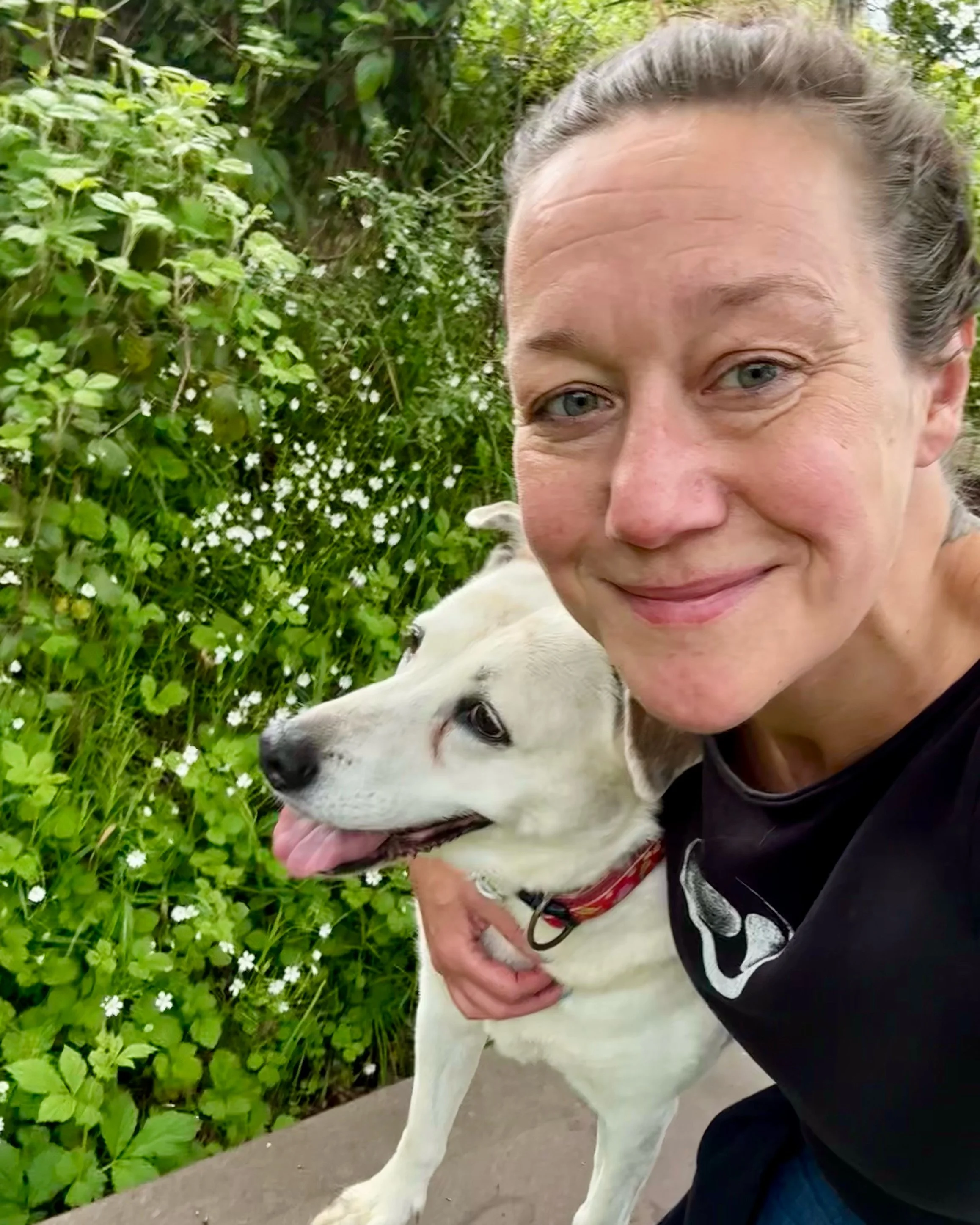 Stephanie Fiege, Texterin für Gesundheit, Wellness, Coaches, Therapie