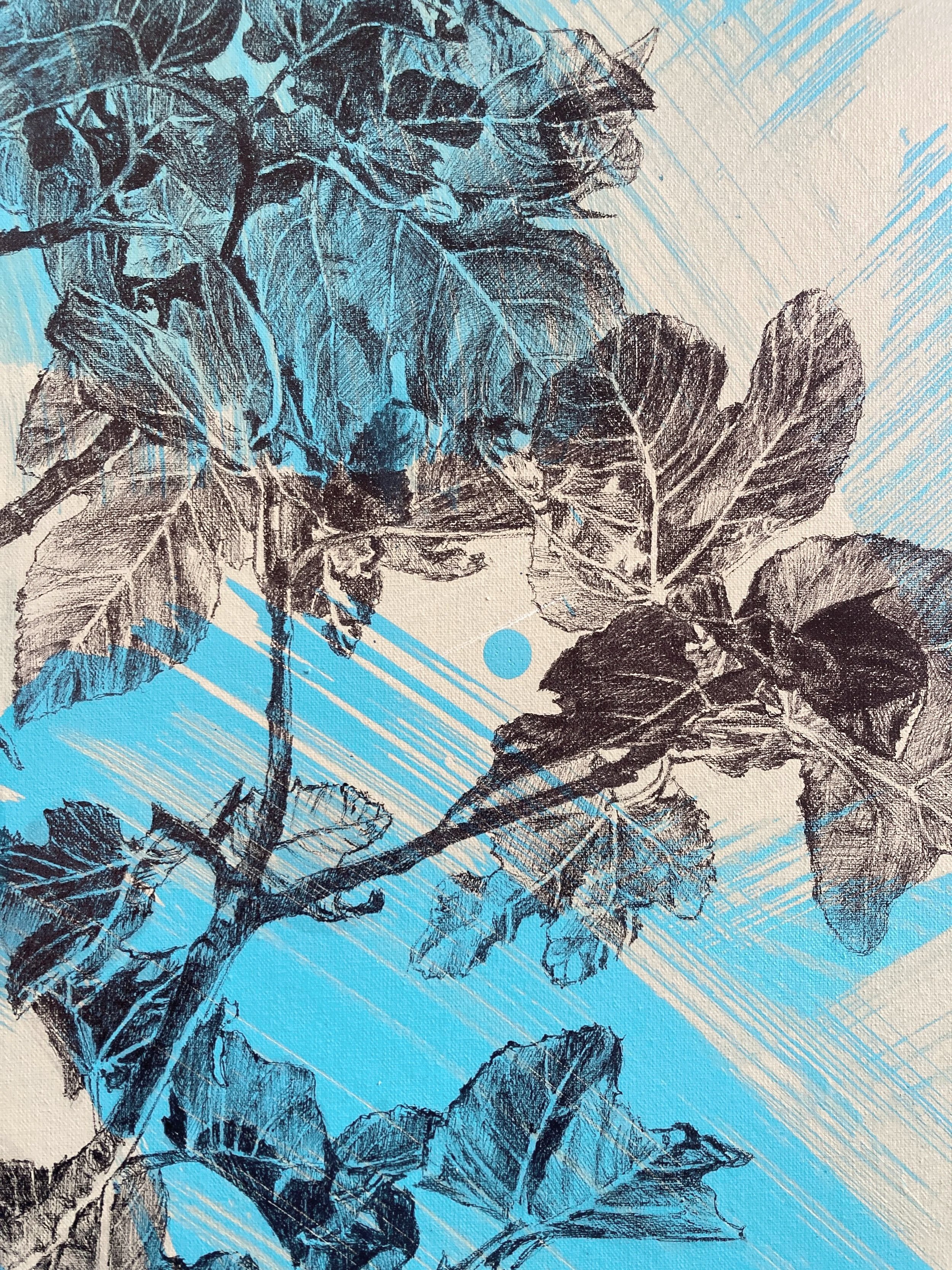 A86F4F61-A29D-40D2-8F3E-22E86806000C.jpg