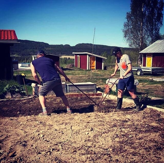 D&aring; var p&auml;ran i backen, nu beh&ouml;vs det b&aring;de sol och regn s&aring; blir det h&auml;r bra! #odla2020 #potatis #potatoes #egenodlat