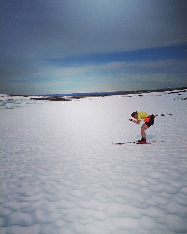 Kan detta vara s&auml;songens sista tur p&aring; skidor tro 🤔
9 m&aring;nader i str&auml;ck p&aring; natursn&ouml;, &auml;r nog rekord &auml;ven f&ouml;r mig oktober-juni! #natursn&ouml; #skiing #skiinglife #langrenn  #h&auml;rligah&auml;rjedalen