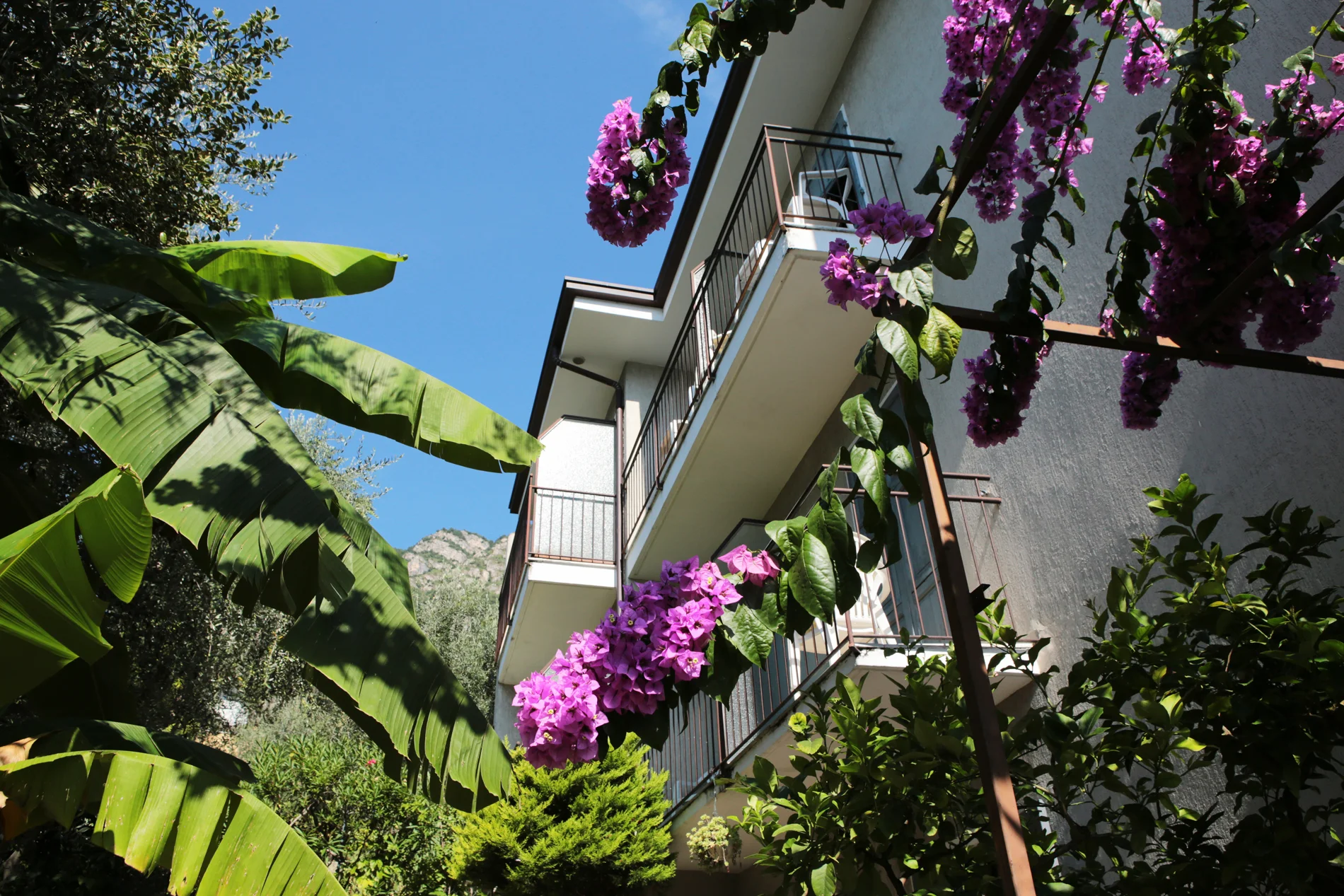 limone_sul_garda_hotel_silvana_vista_lago105.jpg