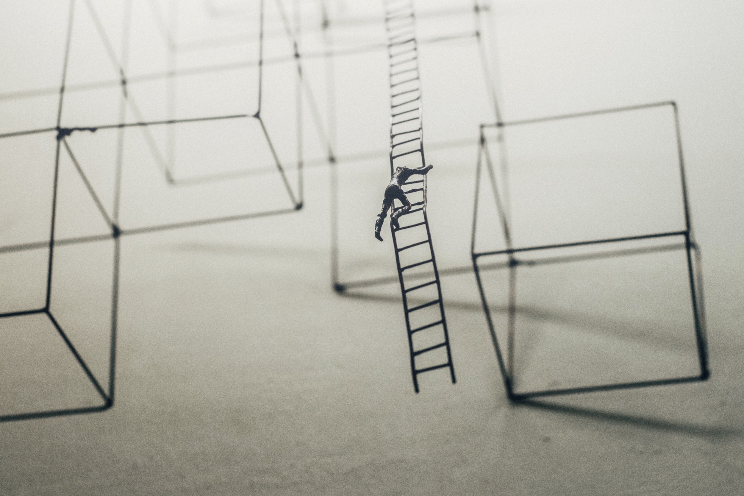 Challenge Photo by Jason Wong on Unsplash.jpeg