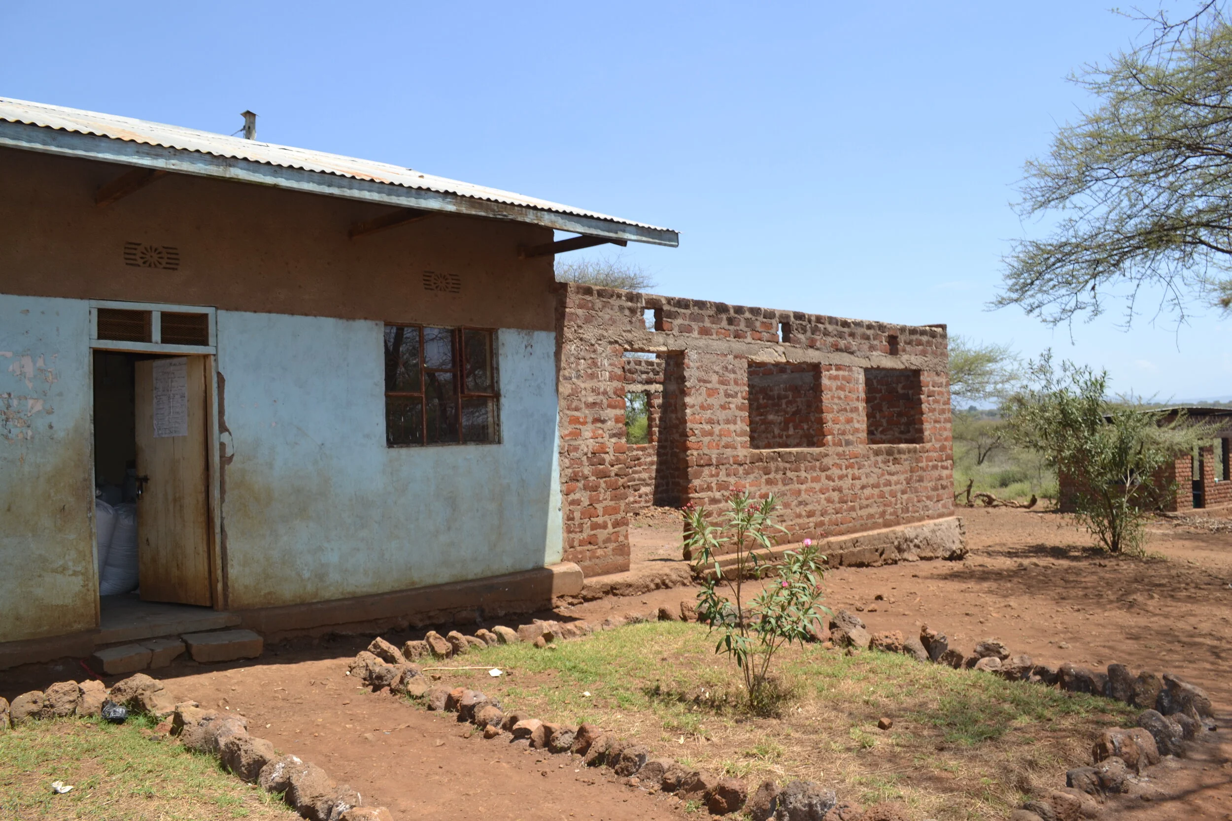 What are the differences between private and government schools in Tanzania?