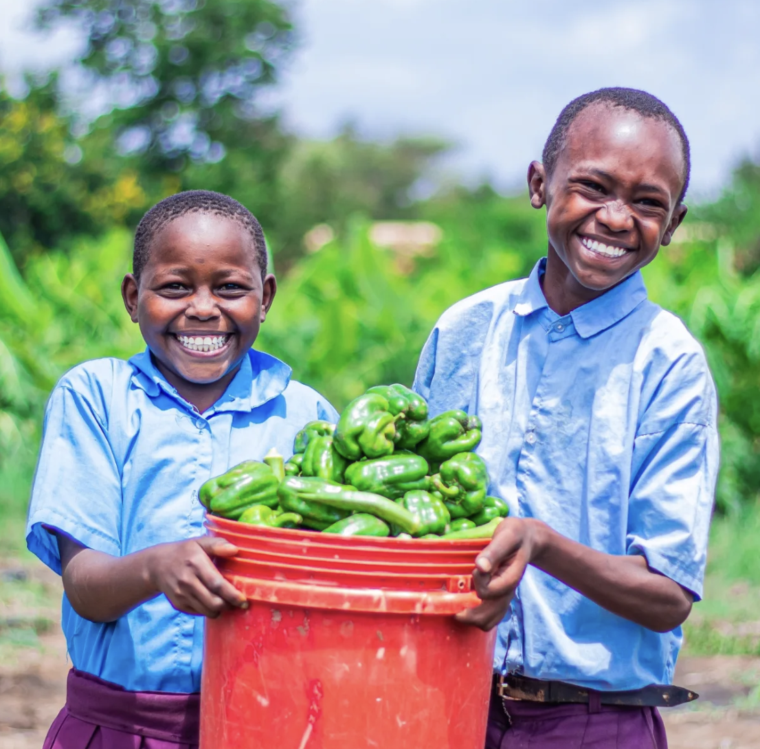 2025: A Year of Incredible Impact