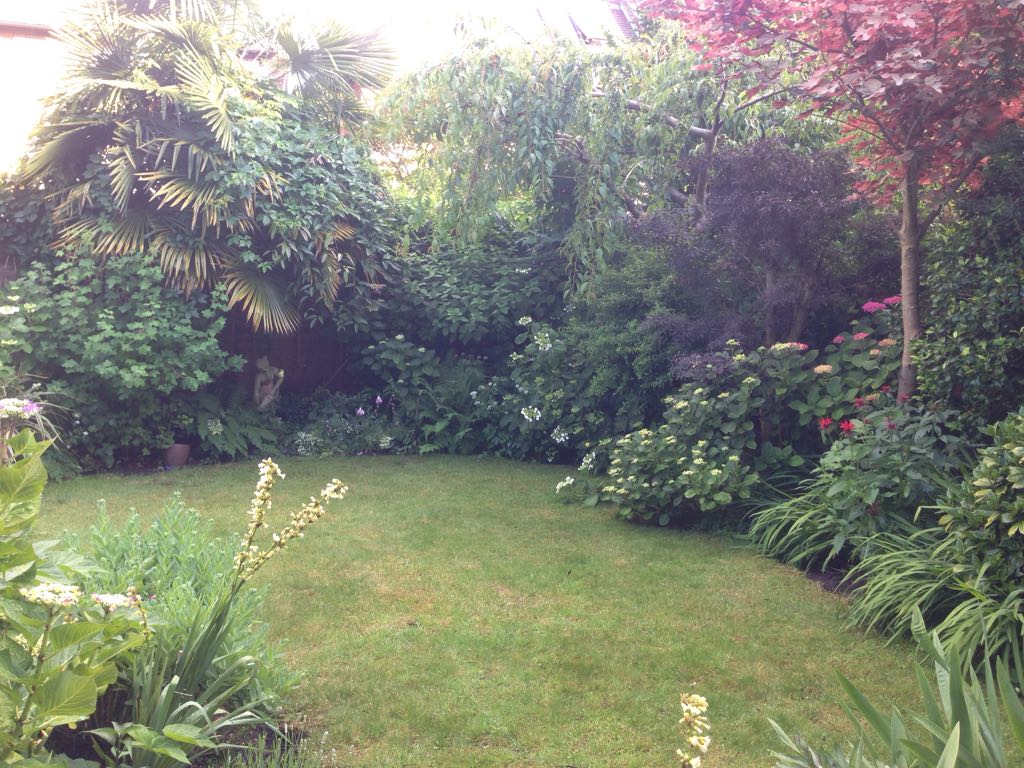 IMG-20181019-WA0000.jpg