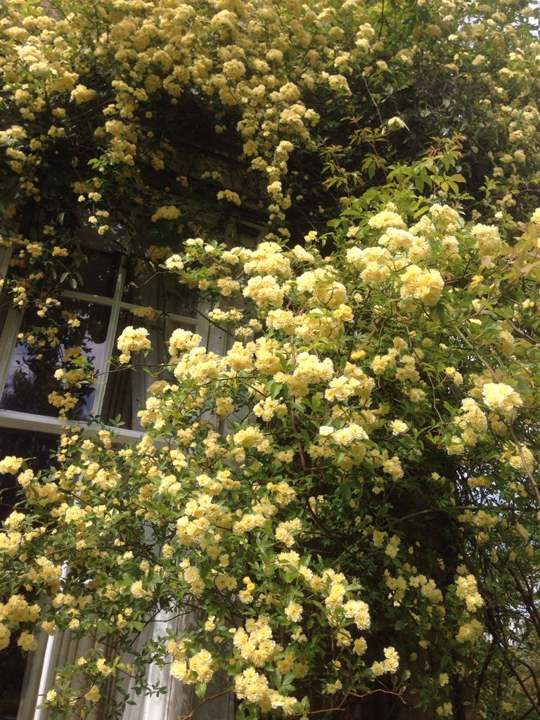 IMG-20181022-WA0097.jpg