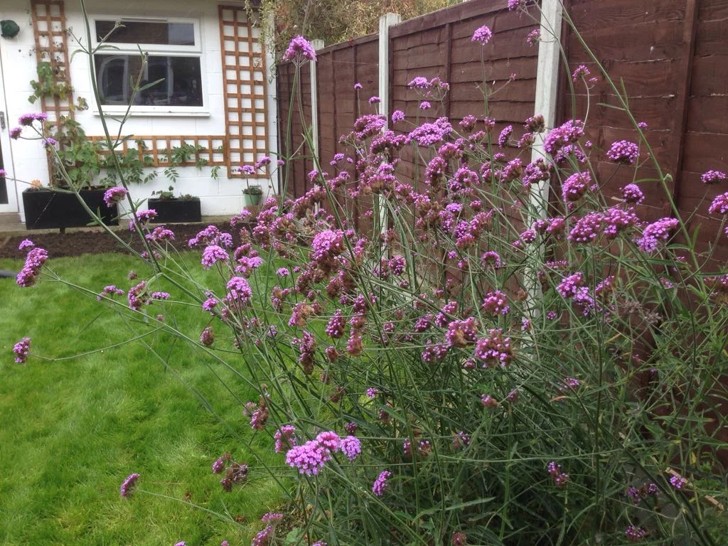IMG-20181022-WA0054.jpg