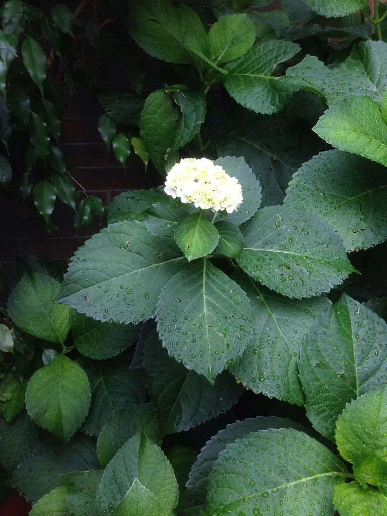 IMG-20181022-WA0083.jpg