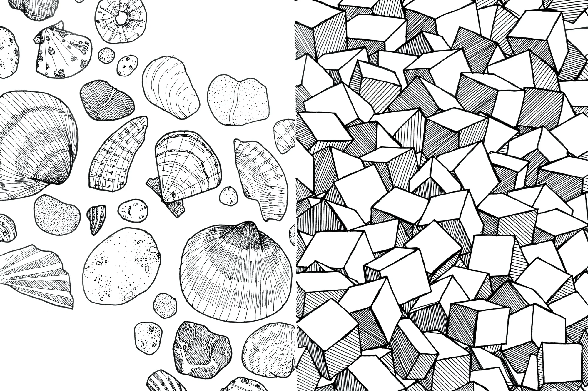 19_cadiz_shells_cubes_web.jpg