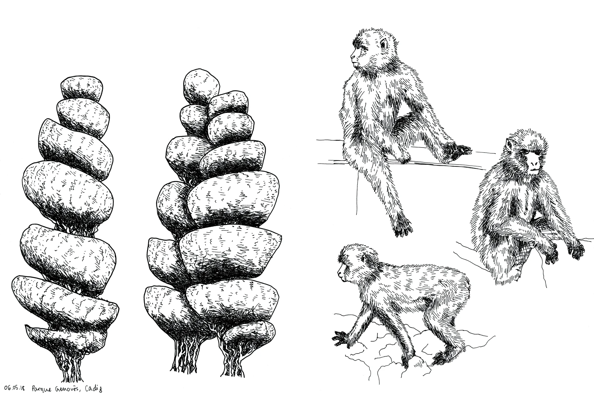 20_cadiz_gibraltar_trees_monkeys_web.jpg