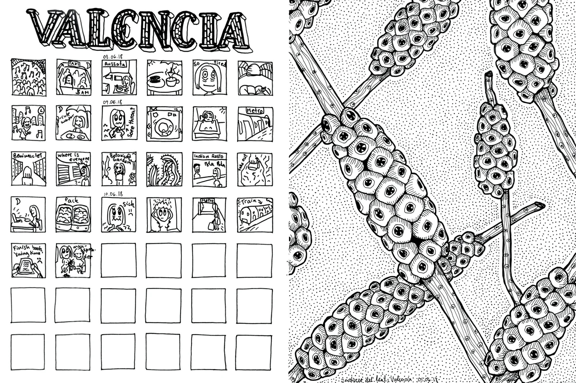 32_valencia_comic_plant_web.jpg