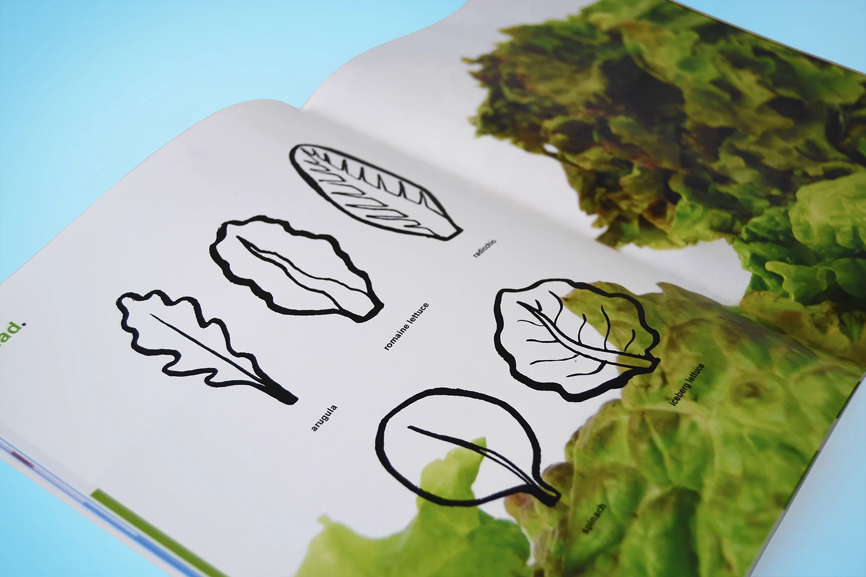 8salad_angle.jpg