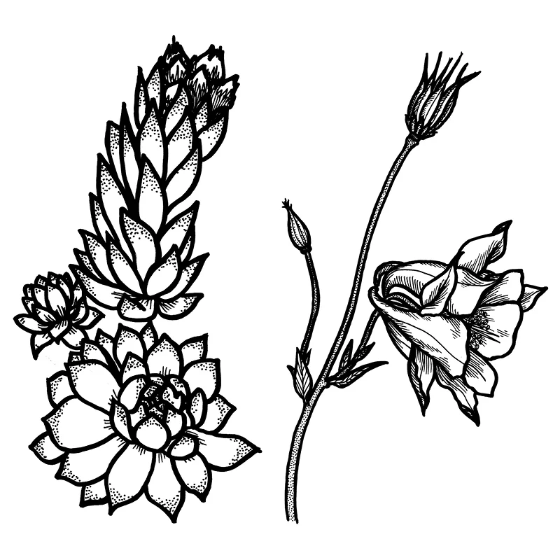 alpine-flora_thumbnails6.jpg
