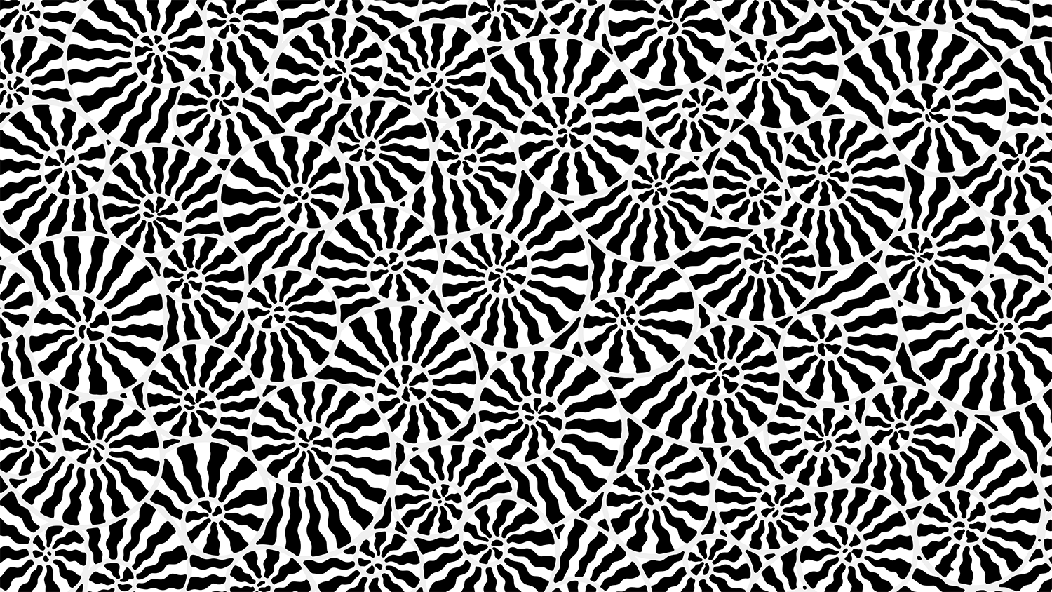 Black and white animation of striped fossil pattern. Trippy and endlessly looping.