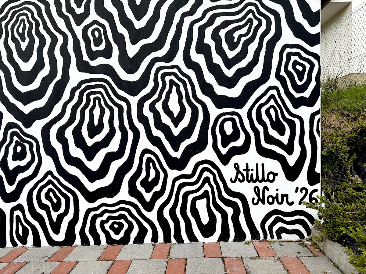 Black and white abstract mural inspired by wood pattern in Switzerland