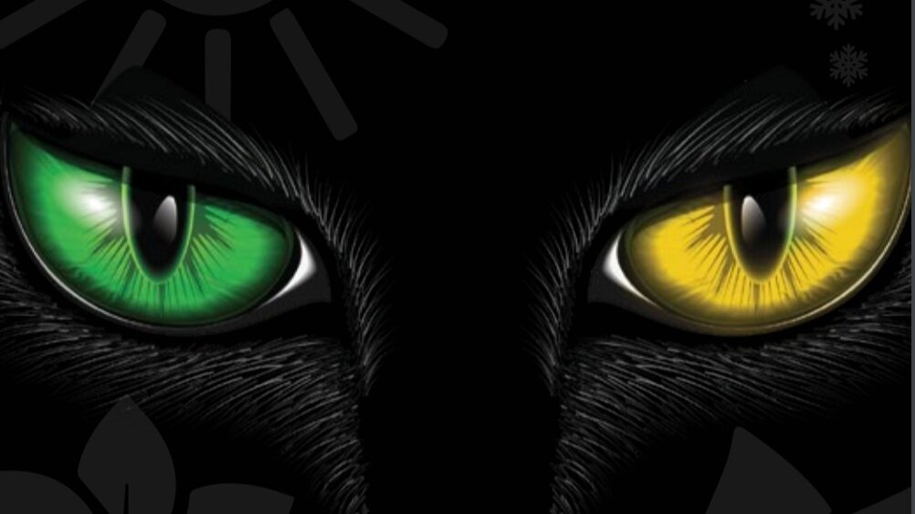 Kiki DC 2019 Annual Performance