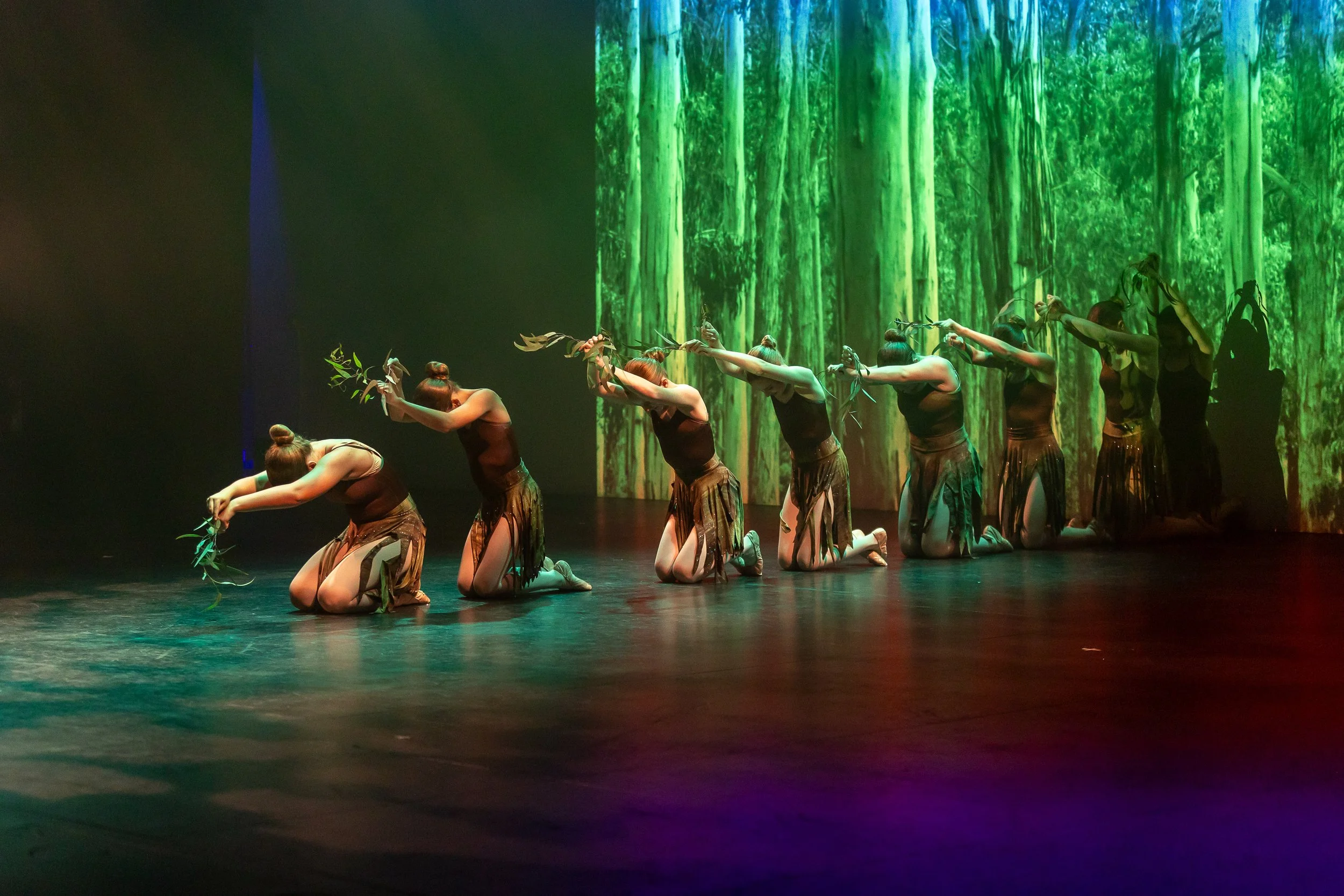 Six dancers in black and brown costumes with fringes perform a choreographed dance on stage with a digital forest backdrop, all kneeling and extending their arms forward while holding leafy branches.