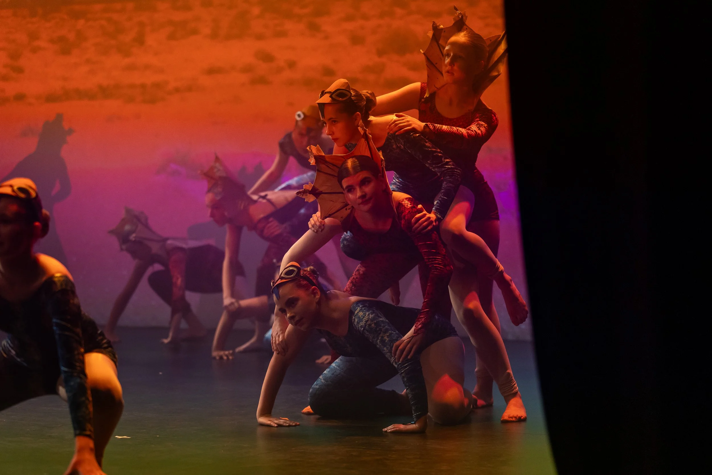 A group of young dancers performing on stage, dressed in colorful costumes with insect or dragonfly wings, forming a human pyramid against a vibrant, lit background.