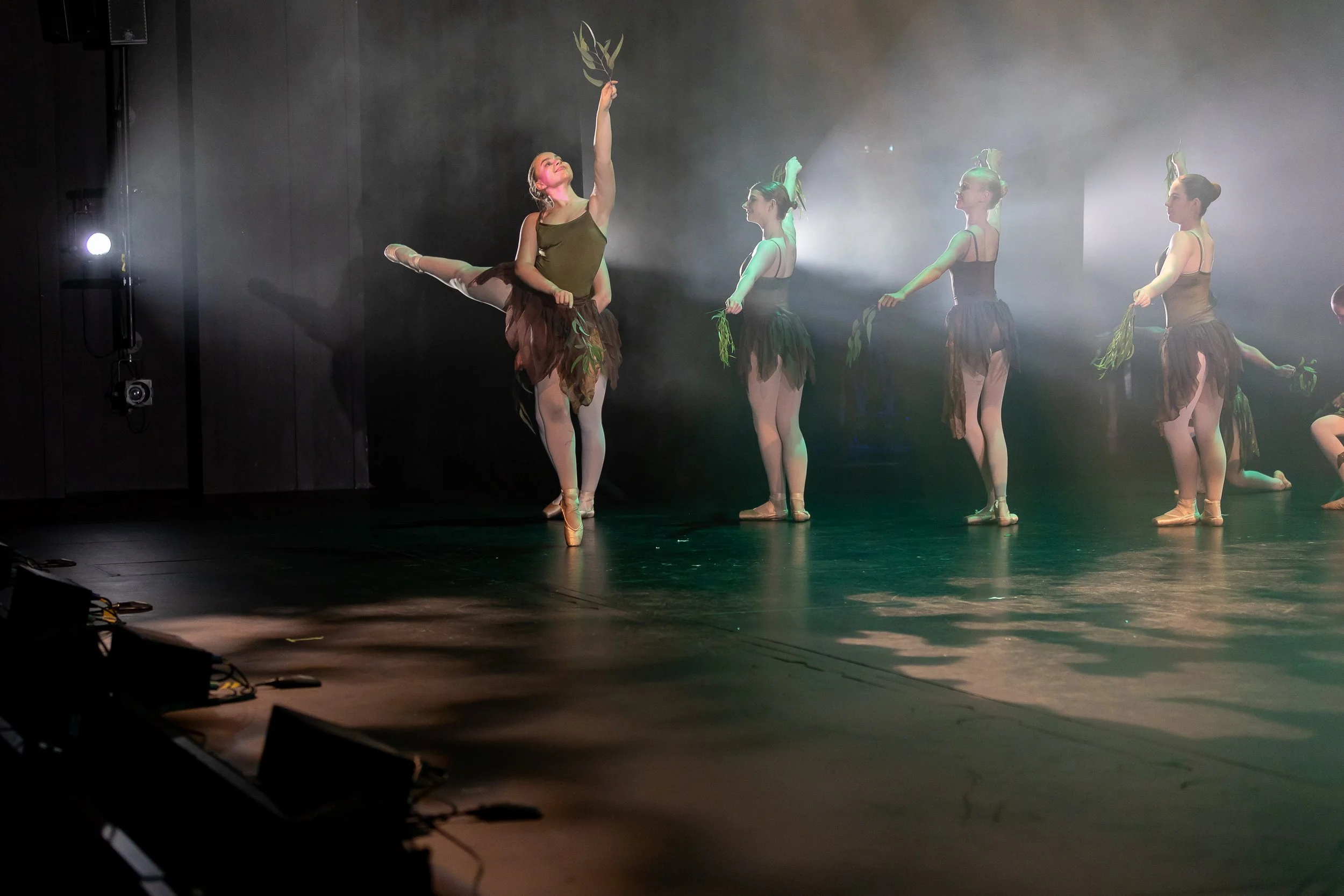 Group of ballet dancers performing on stage, dressed in costumes with brown skirts and green top accessories, with stage lights and fog creating a dramatic atmosphere, one dancer extending an arm upward holding a leafy branch.