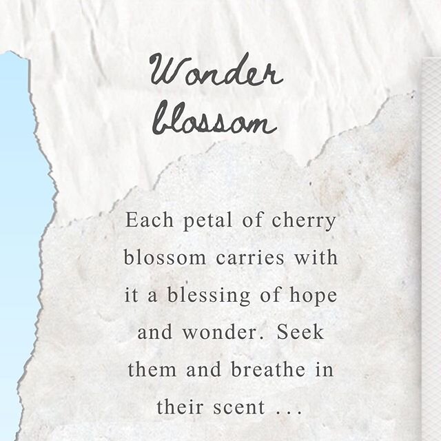 So being called Cherry has meant that naturally every year I seek out the cherry 🍒 blossom 🌸and celebrate its beauty. I love every aspect of it, the buds on the trees symbolising new growth, telling us that prettier times are coming, spring is here