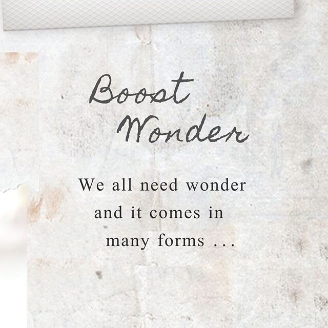 I love the word &lsquo;wonder&rsquo; because how people find it is often completely unique to them. Whether it&rsquo;s in words, nature, travel, family, garden, hobbies, pets ... where do you find your wonder? ✨🌸✨
.
.
.
.
.
 #abundancemindset #goodt