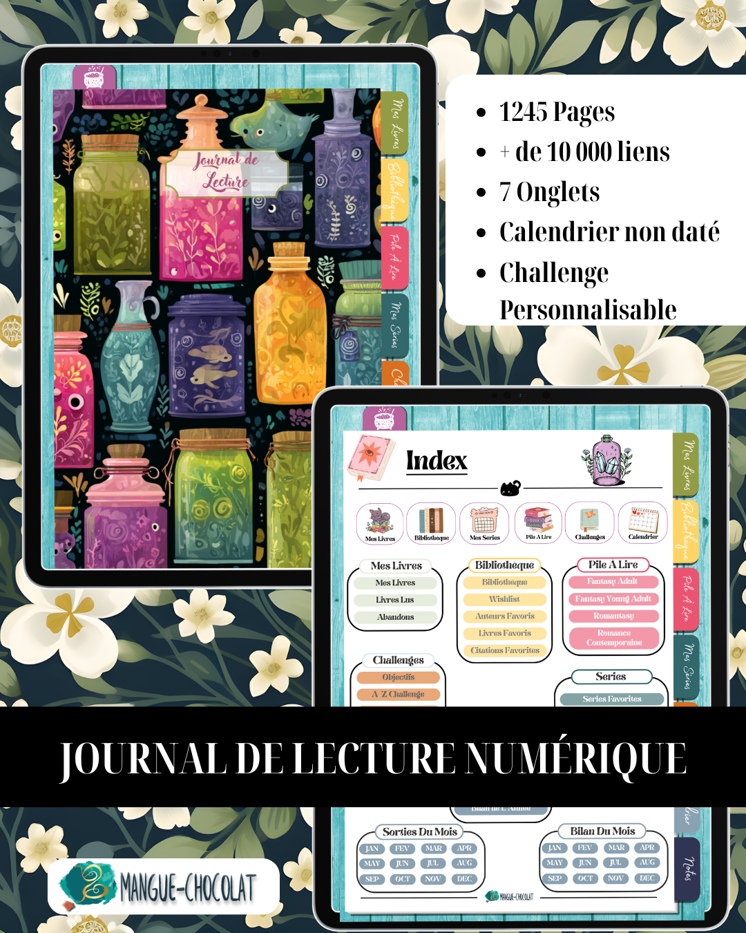 Journal de Lecture Numérique