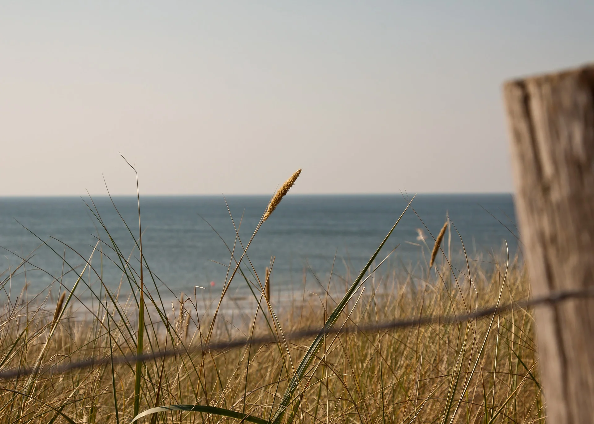 sea-955810_1920.jpg