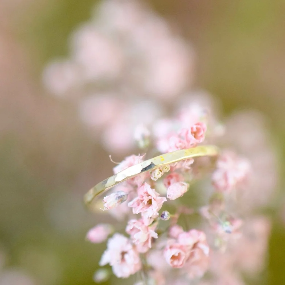 DSC_0426.jpg,