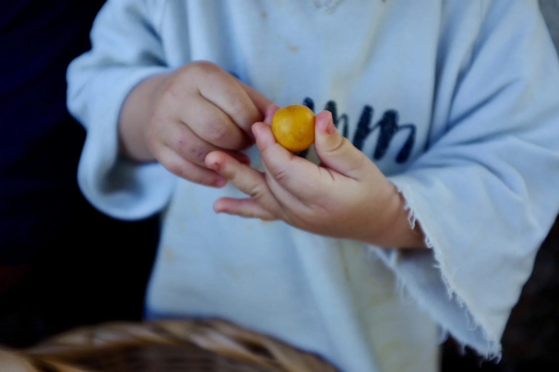 Fruits