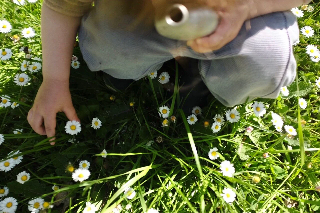 Gardening with children: talking to kids about plants, seeds and germination