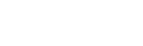 PPF-white TRANSPARENT.png
