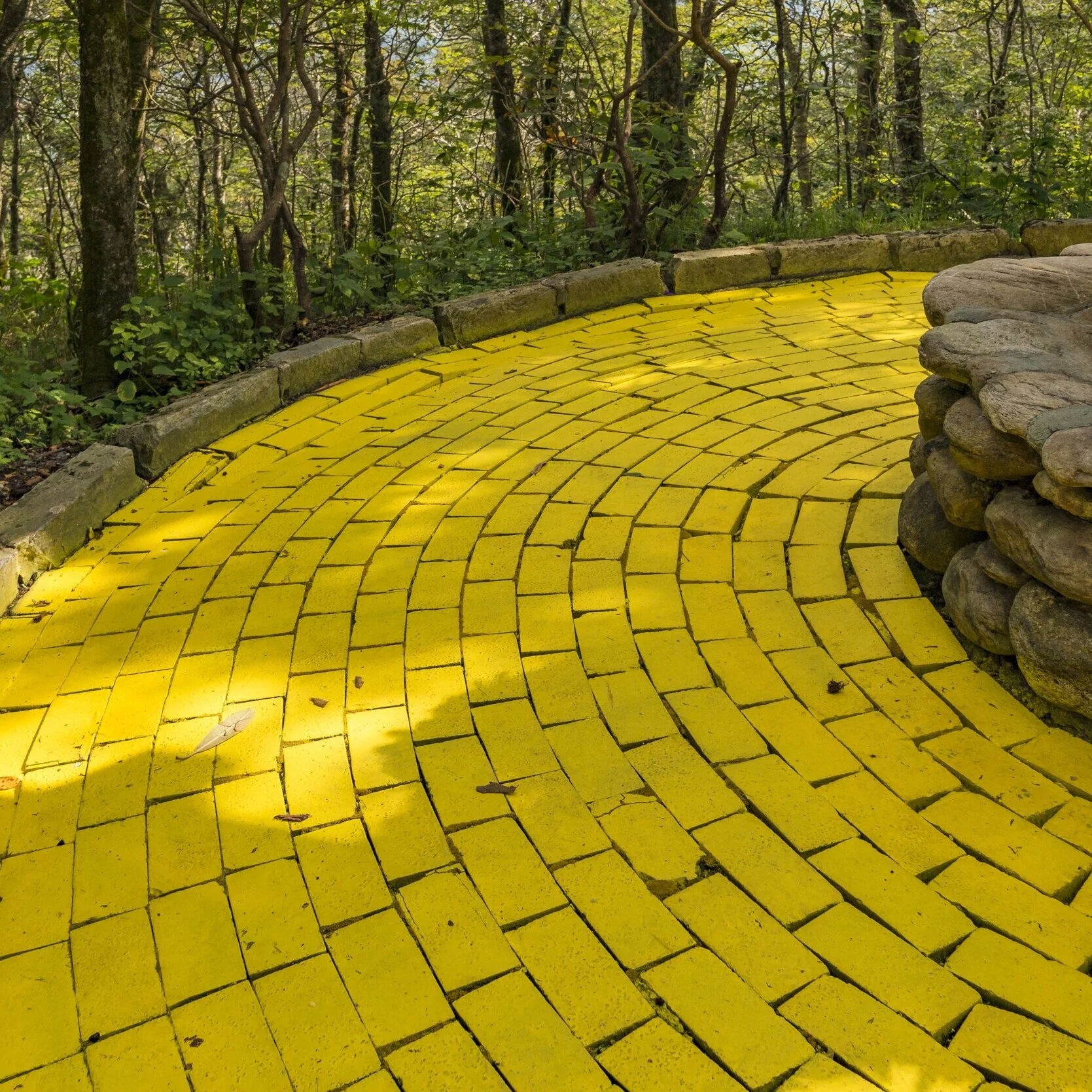 How to Use Extracurriculars to Stand Out in College Admissions