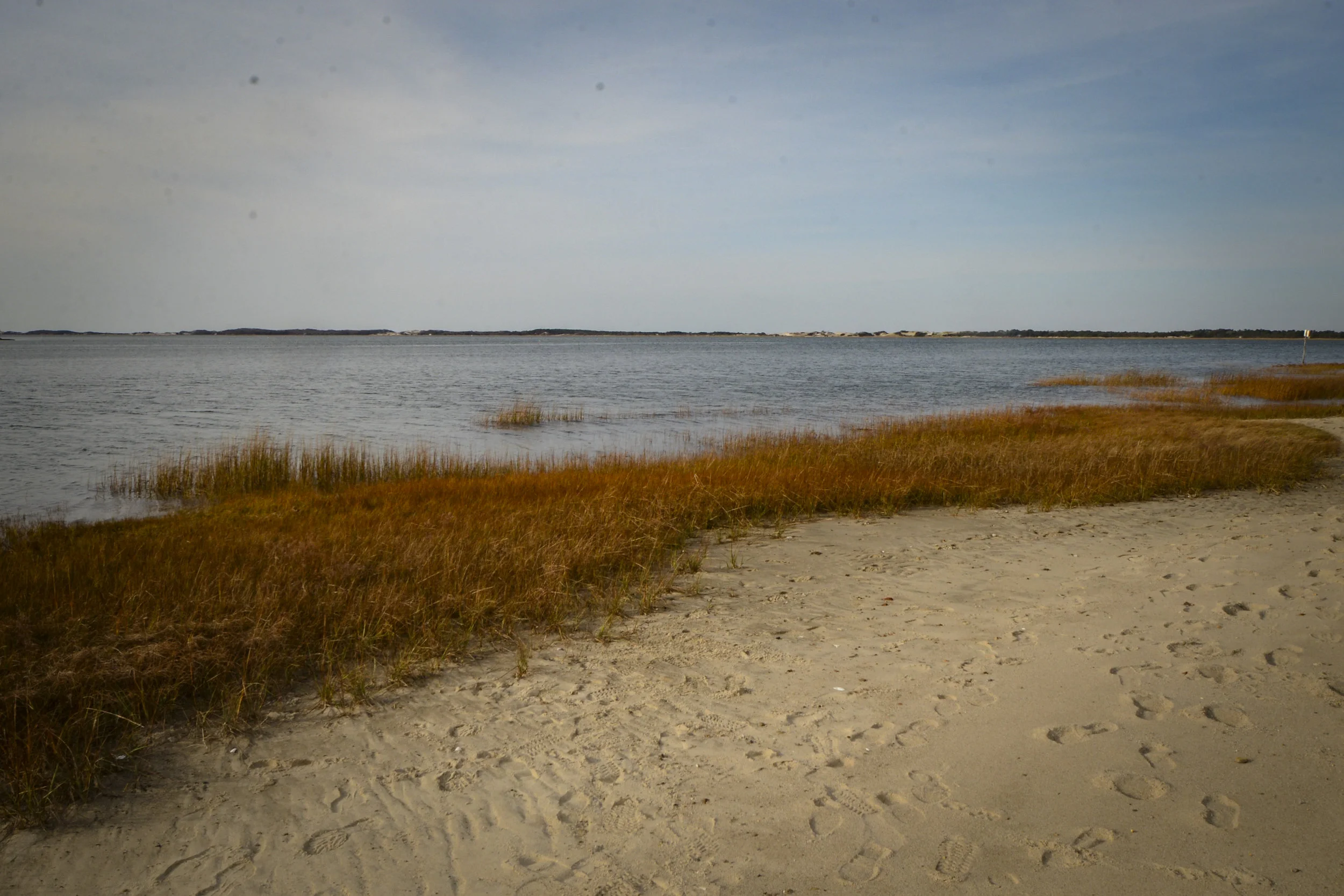 Beach.jpg