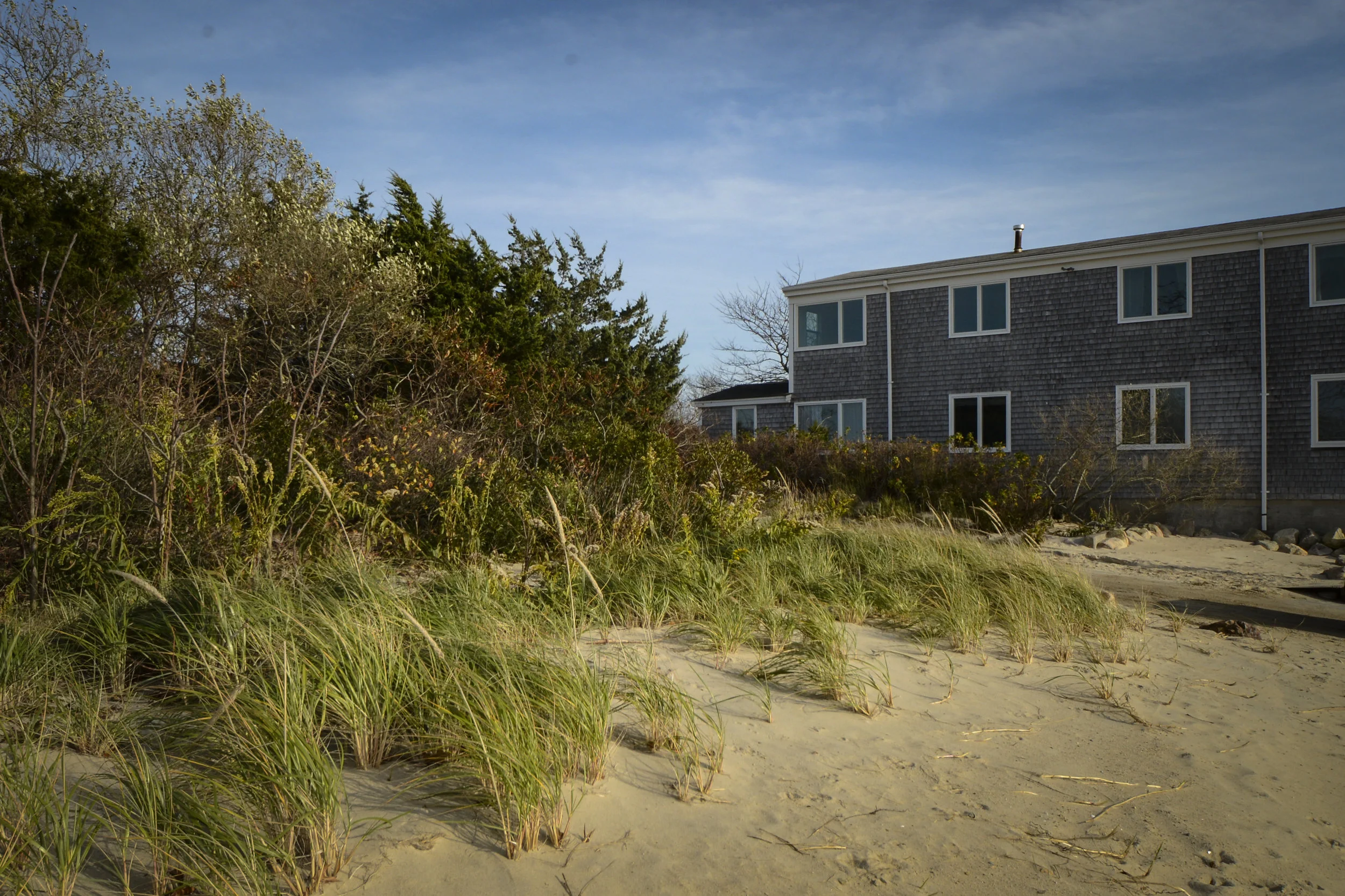 building with sea grass.jpg