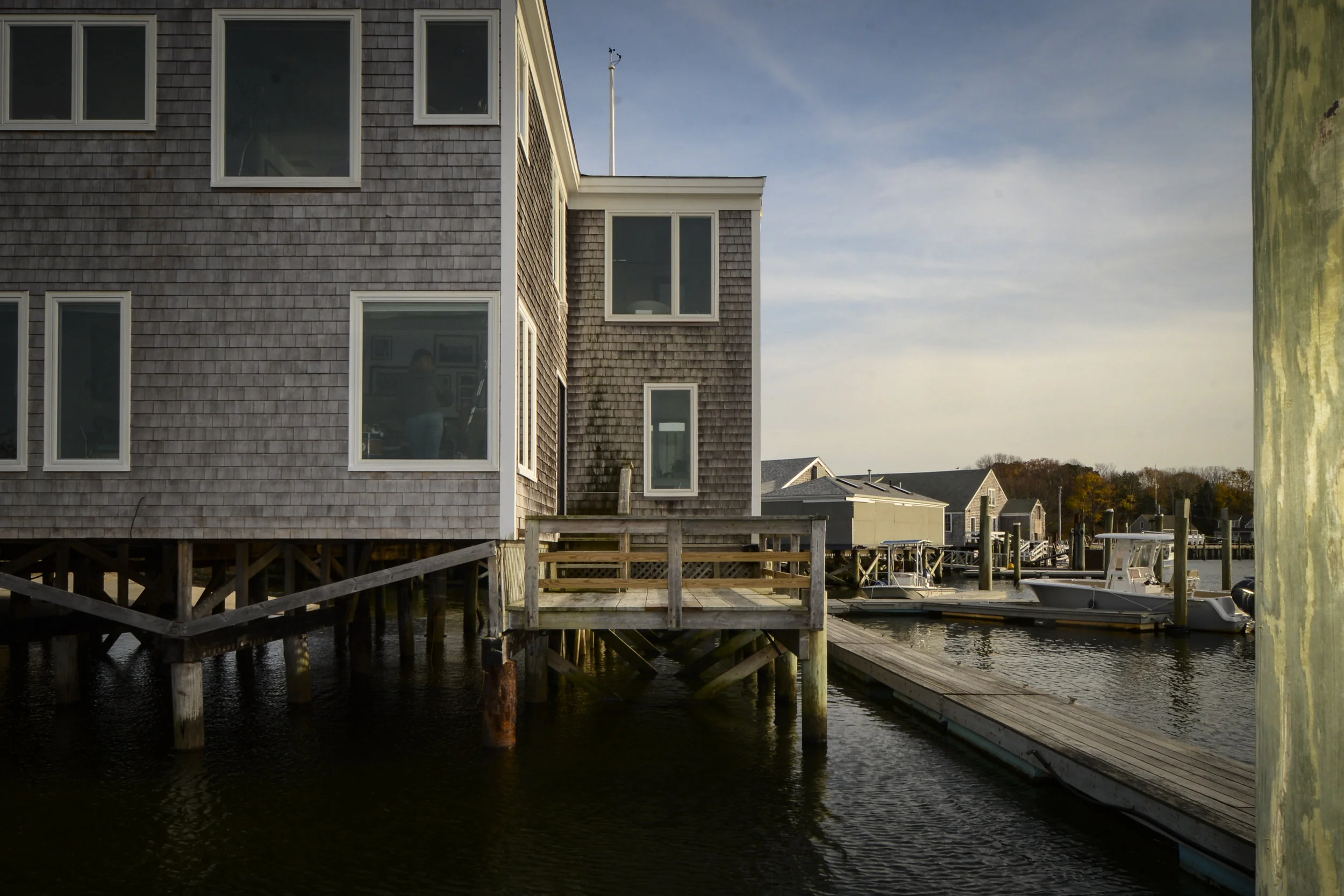 Pattie in the window.jpg