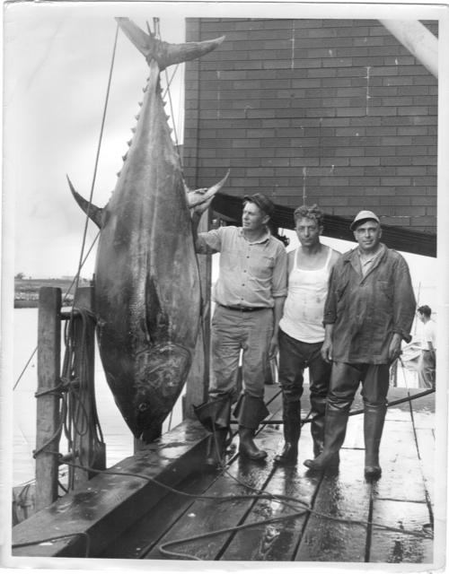 Large tuna catch - left to right - Adam Rupkus, Tony DeMartino, Mike Goulart